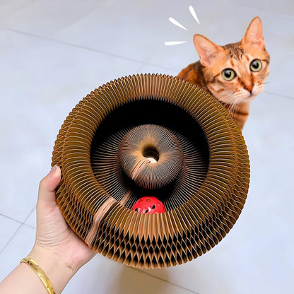 Interactive Cat Play, Scratch & Nest Toy