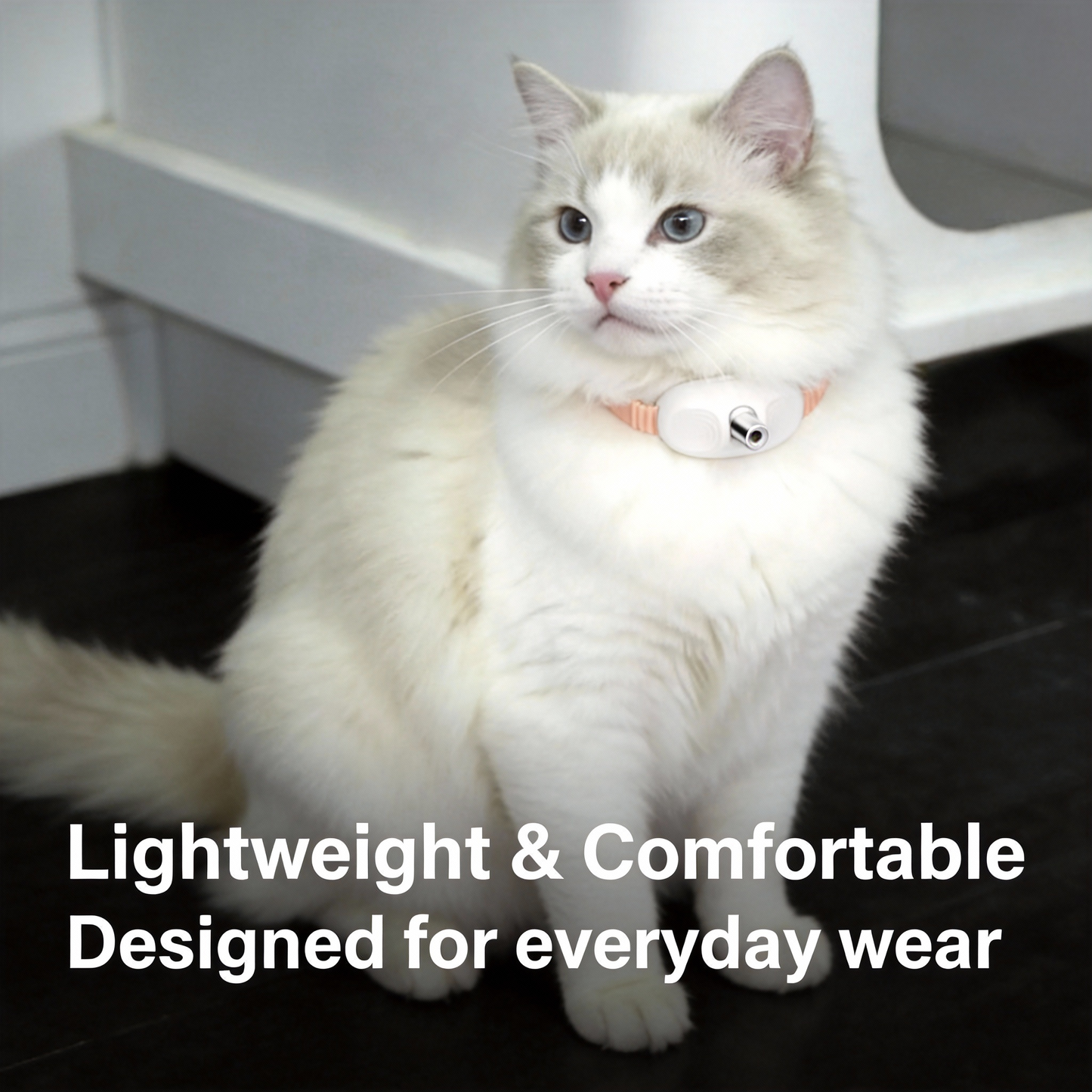 Hands-Free Laser Cat Toy Collar